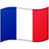 🇫🇷 flag: France display on Google